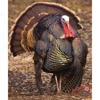 DuraMesh Archery Target  br  Turkey 3 32 in. x 25 in. | 745205992186