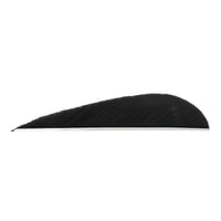 Trueflight Parabolic Feathers  br  Black 3 in. RW 100 pk. | 650747112087