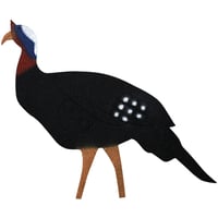 OnCore Archery Target  br  Turkey | 858899006630