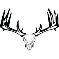 Raxx Crossbow Hanger  br  Whitetail Skull | 855809007152