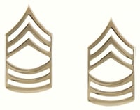 Rothco Master Sergeant Polished Insignia | RC1438