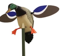 MOJO BABY MOJO DRAKE DECOY | 816740044019