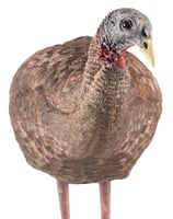 Avian-X LCD - Breeder Hen Turkey Decoy | 810280080087