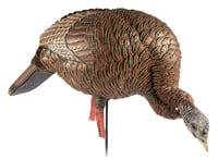 Avian X AVXAVX8107 HDR Feeder Hen Turkey Species Multi-Color | 082271001818
