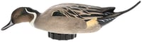 AVIAN X POWER SHAKER PINTAIL SURFACE FEEDER DECOY | 888151047552