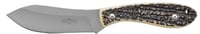 Camillus 19162 Western Crosstrail 4.25 Inch Fixed Clip Point Plain Silver 420 Steel Titanium Bonded Blade, Stag/Antler Delrin Handle, Includes Belt Loop/Sheath | 016162191623