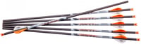 Ravin Premium Crossbow Bolts  br  400 gr. .001 6 pk. | 815942021392