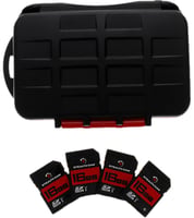Stealth Cam STCMCSC16GB4PK Memory Card Storage Case | 888151047880