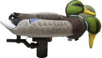 Higdon Outdoors 54080 Pro Mallard Drake Battleship Swimmer MultiColor Foam Filled | 710617540805