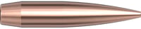 HRNDY AM 6MM .243 105GR HHB 100CT | 090255245738