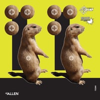 Allen 15264 EZ Aim Splash Reactive Target Prairie Dog Hanging Paper 8 Inchx8 Inch Multi-Color 6Pack | 026509046738