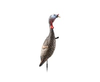 Flextone Funky Chicken Gen 2 Turkey Decoy  br | 082271001016