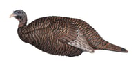 FLEXTONE FLXFLXDY331 THUNDER CHICK BREEDER | 082271001832