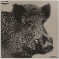 INFRAREDID RBOARHD1    THERM BOAR HEAD TARGT | 619364515275