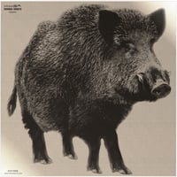 INFRAREDID RBOARL1     THERM BOAR TARGT | 619364700107