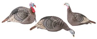 HS Strut 100006 Strut-Lite Flock Wild Turkey Species Multi Color Synthetic 3 Per Pack | 021291000159