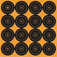 Birchwood Casey 36348 Big Burst Revealing Target Self-Adhesive Paper Black/Orange 3 Inch Bullseye 48 Targets | 029057363487