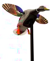 Mojo Outdoors HW24703P Elite Series Mini Mallard Drake Species Multi Color Plastic | 816740004563