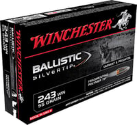 Winchester Ammo SBST243 Ballistic Silvertip  243 Win 55 gr Fragmenting Polymer Tip 20 Per Box/ 10 Case  | .243 WIN | 020892210189