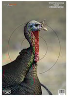 DIRTY BIRD TURKEY 12X18IN 8PKPregame 12x18 inch Turkey Target 12 Inchx18 Inch Turkey 8 Targets Bullet holes splatter on impact allowing you to immediately spot your shots Shots on vital areas react in a highlyvisible coloras react in a highlyvisible color | 029057354034