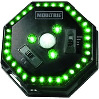 Moultrie MFA12651 Feeder Hog Light Black Green Filter 30 ft Range | 053695126517 | Moultrie | Hunting | Feeders 