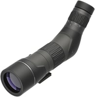 Leupold 185683 SX-2 Alpine HD Angled Body 20-60x 60mm Black | 030317042226