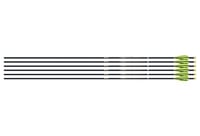 EASTON 4MM FMJ MATCH GRADE 300 6PACK W/ 3 Inch AAE HYBRID VANES | 723560013913