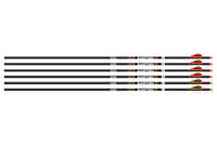 EASTON ARROW 6.5MM MATCH GRADE 500 W/3 Inch AAE HYBRID VANES 6PK | 723560013661