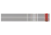 EASTON ARROW 6.5MM MATCH GRADE 300 W/3 Inch AAE HYBRID VANES 6PK | 723560013609