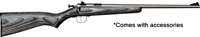 CRICKETT RIFLE G2 22LR S/S BLACK LAMINATE | .22 LR | 611613022701