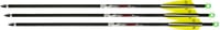 TENPOINT XBOW ARROW PRO ELITE 400 20 Inch CARBON ALPHA BRITE 3P | 788244013825