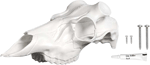 MOUNTAIN MIKES DEER SKULL KIT SKULL MASTER LARGE | 094922025203