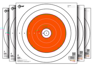 ALLEN EZ AIM PAPER BULLSEYE TARGET 12-PK 12 InchX12 Inch | 026509048008