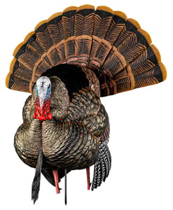 AVIAN X HDR STRUTTER DECOY | 082271001825