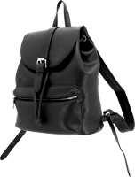 CAMELEON AMELIA BACKPACK CONCEALED CARRY BAG BLACK | 659806491927