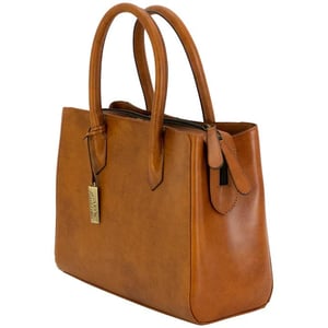 CAMELEON NATALIE PURSE CONCEALED CARRY BAG TAN | 659806496922