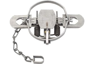 DUKE TRAPS 2 COIL SPRING TRAP CASE OF 12 | 10011627004903