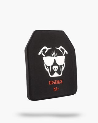 GUARD DOG RIDGEBACK LEVEL IV 10X12 MULTI CURVE CERAMIC PLATE 39866 | 787790839866