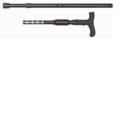 PS ZAP COVERT CANE 1ML VOLTS W/CASE | 797053004849