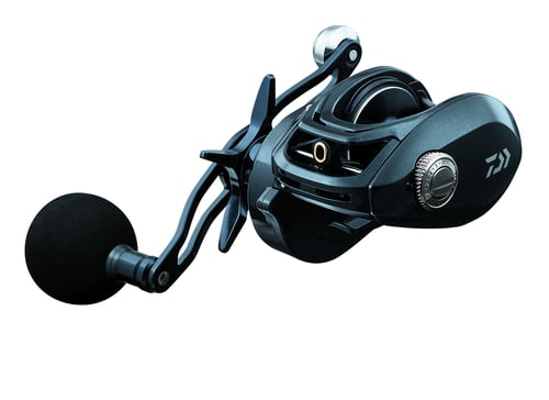 Daiwa LX-HD300HSL-P Lexa 300 HD Baitcast Reel, 6 CRBB1, 7.41 | 043178924600
