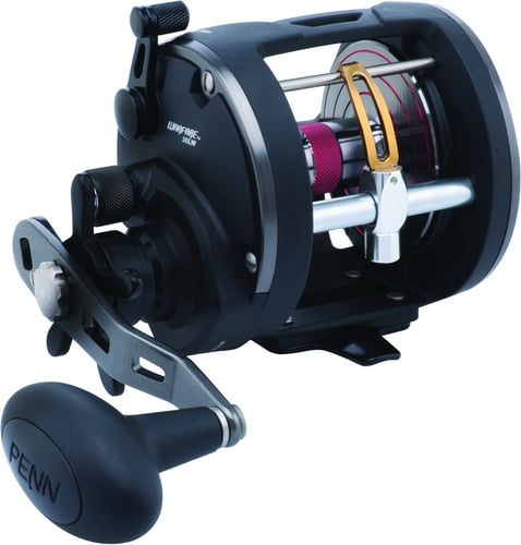 Penn WAR30LW Warfare Level Wind Reel, RH, 3BB, 3.91 Ratio, Alum | 031324165663