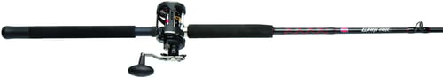 Penn WAR20LW2040C66 Warfare Pre-Mounted Combo Sz20 Level Wind | 031324166127