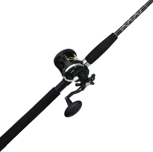 Penn RVL15LW1220C70 Rival Level Wind Boat Combo 15 sz 2 Brg | 031324171800