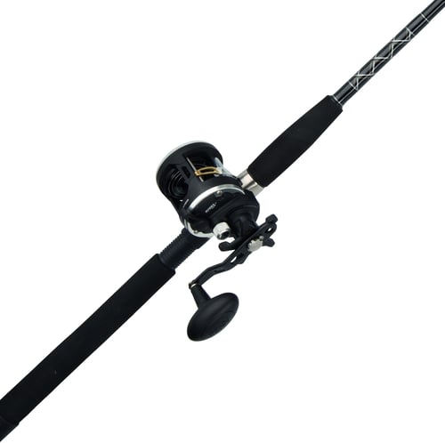 Penn RVL15LW2030C50 Rival Level Wind Boat Combo 15 sz 2 Bgr | 031324171817