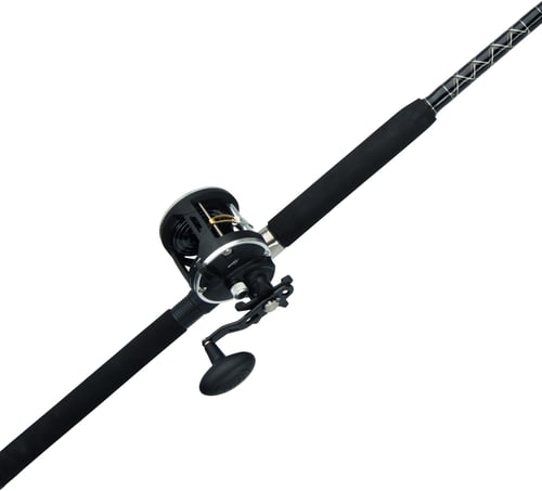 Penn RVL30LW2050C66 Rival Level Wind Boat Combo 30 sz 2 Bgr | 031324171831