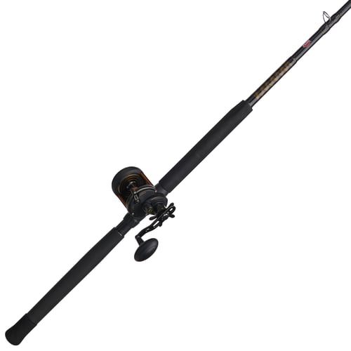 Penn SQLII30SD2040C70 Squall II SD 30sz Graphite Frame/Sideplate, 6 | 031324174887