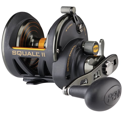 Penn SQLII25NSD Squall 25Nsz Star Drag, Graphite Frame and side Plate | 031324174801