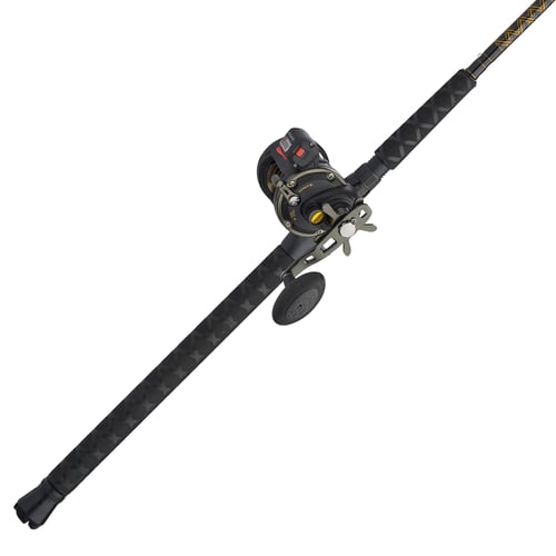 Penn SQLII20LW2030C60 Squall II LevelWind 20 sz, 31 bgr, 4.91 | 031324275898