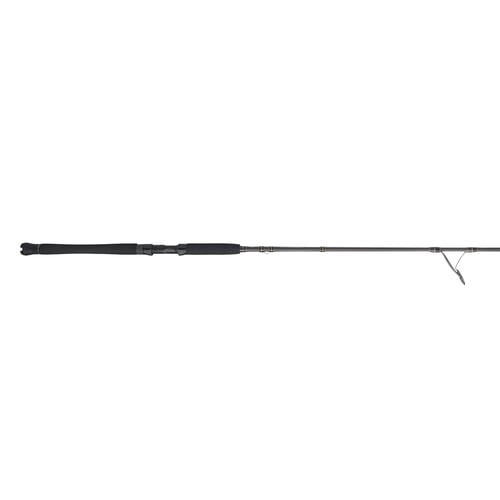 Penn CARINIII2040S80 Carnage III Inshore Spin Rod, SLC blank | 031324274983