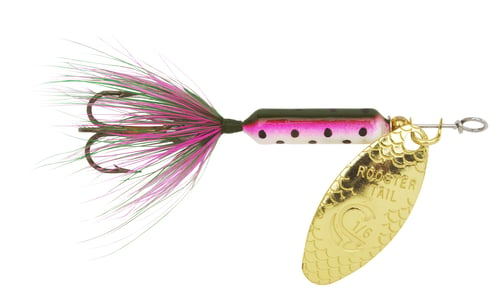 Wordens 210-RBOW Rooster Tail In-Line Spinner, 2 1/2